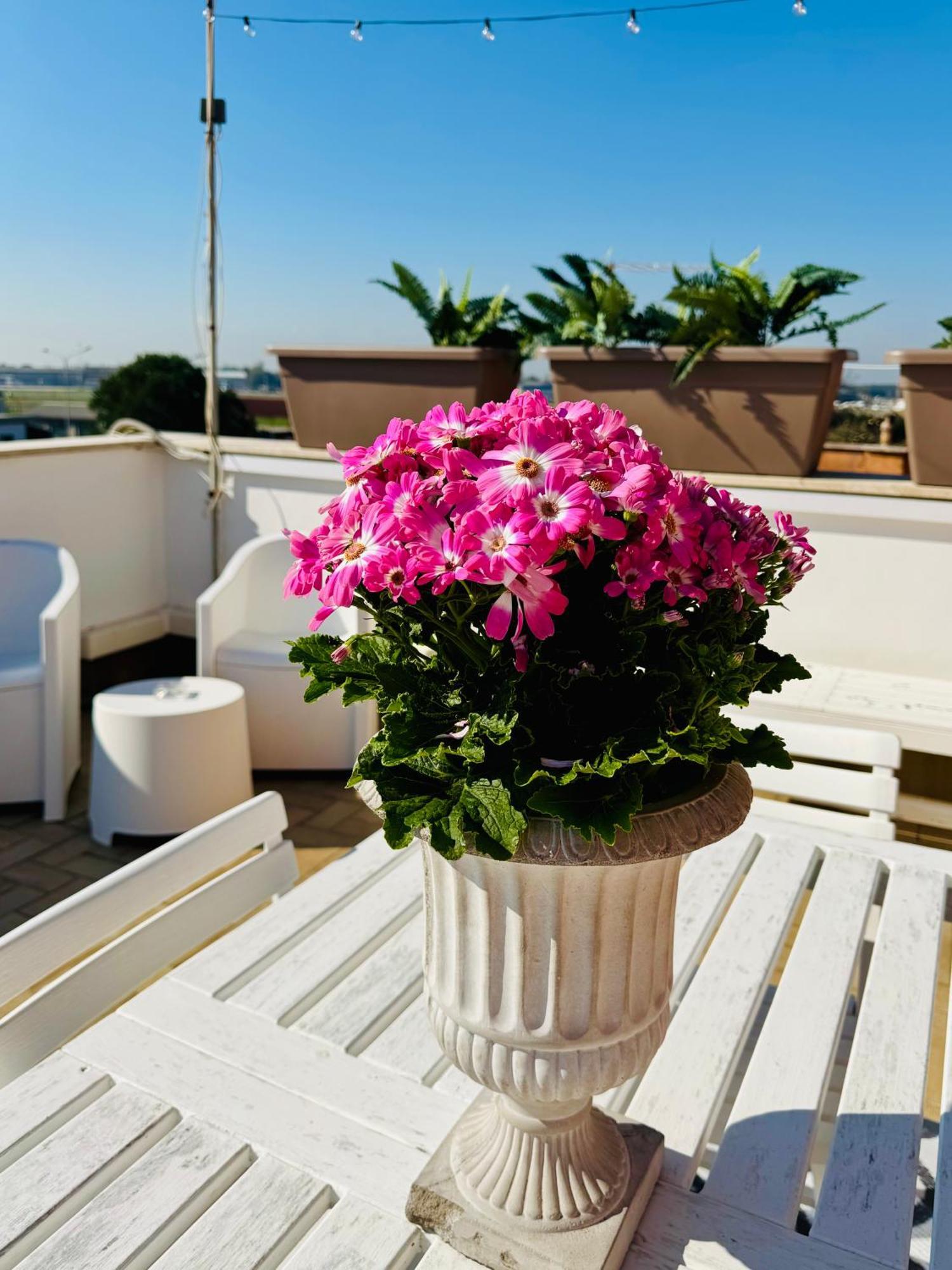 Hotel Fil Rouge à Ciampino Extérieur photo